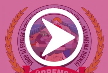 Haydi Sinop Günlerine